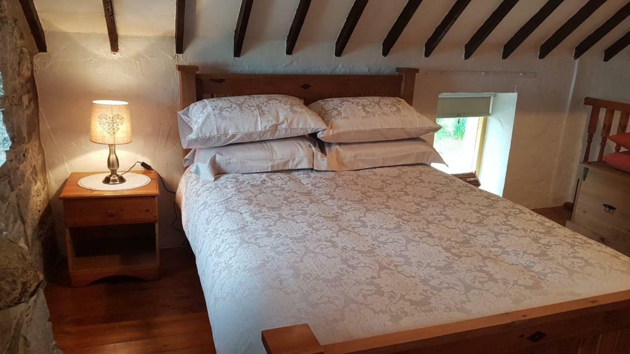 Stunning Views At Ballagh Cottage Newcastle Newcastle  Eksteriør billede